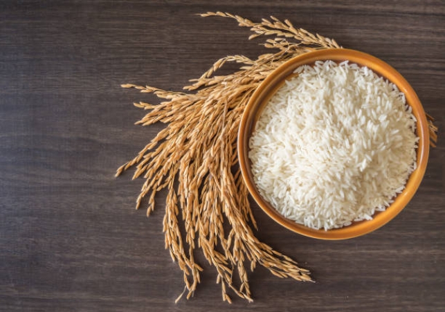 Rice Brands in India 2023